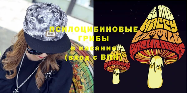 гидропоника Алзамай
