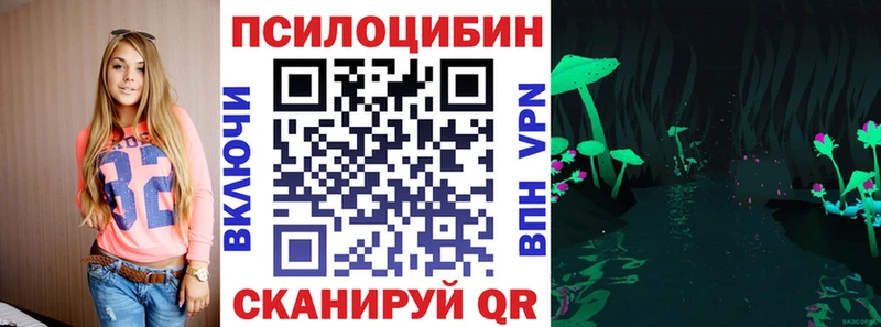 shop Telegram  Хабаровск  Псилоцибиновые грибы Cubensis  OMG зеркало 